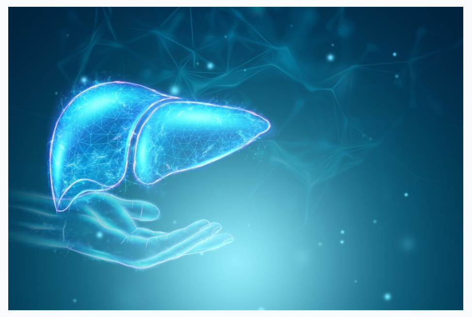 Avail The Best Treatment of Liver Transplant in Pune