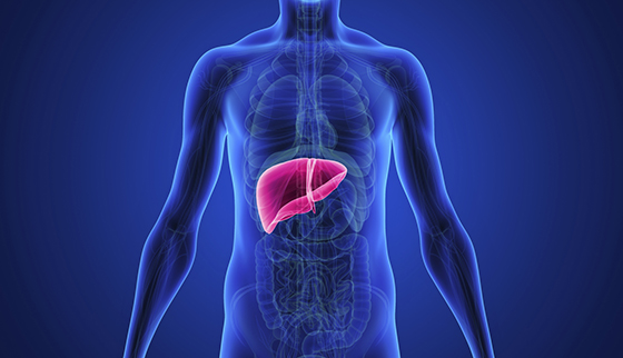 7 Signs Your Liver Is In Stress