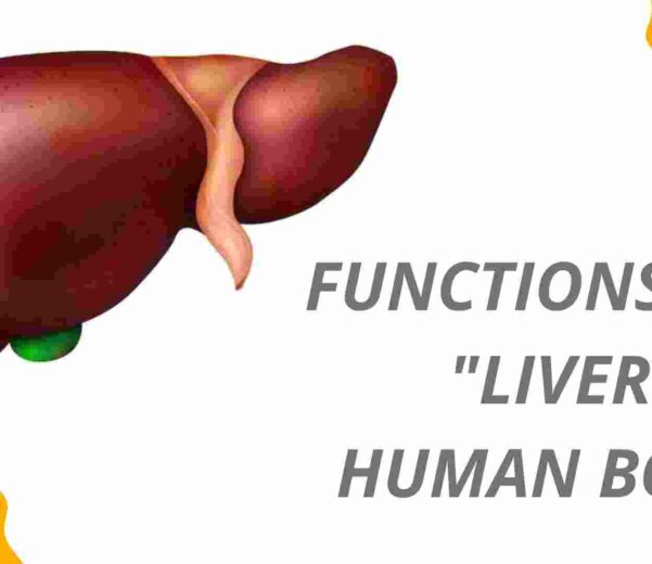 Understanding the Liver's Multifaceted Functions | Dr. Ninad Deshmukh